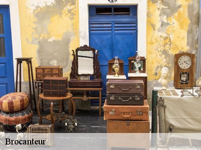 Brocanteur Marne 