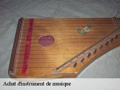 Achat d'instrument de musique  51130