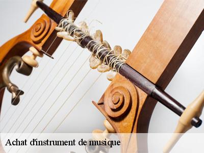 Achat d'instrument de musique  51490