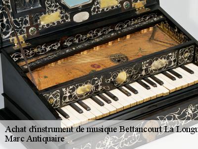 Achat d'instrument de musique  51330