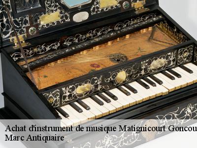 Achat d'instrument de musique  51300