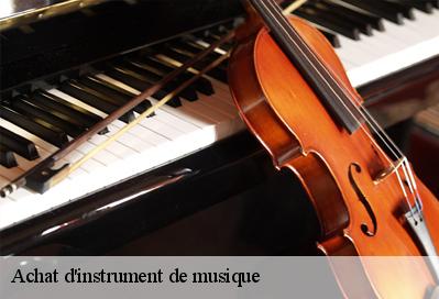 Achat d'instrument de musique  51270