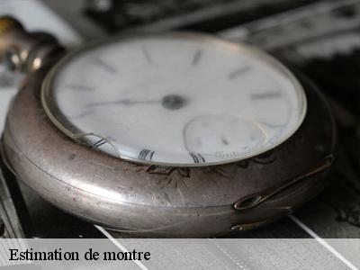 Estimation de montre  51260