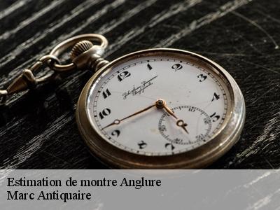 Estimation de montre  51260