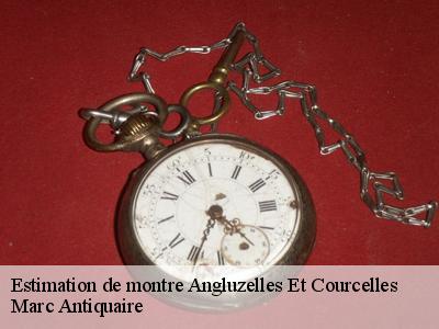 Estimation de montre  51230