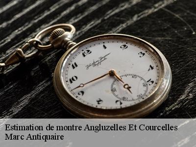 Estimation de montre  51230