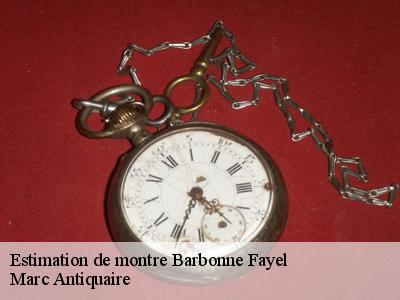 Estimation de montre  51120