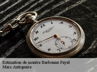 Estimation de montre  51120