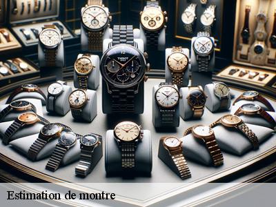 Estimation de montre  51110