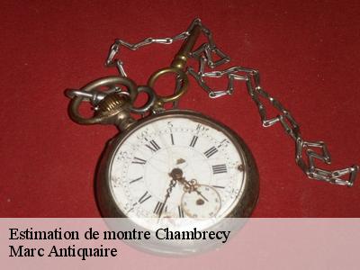 Estimation de montre  51170