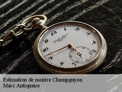 Estimation de montre  51310