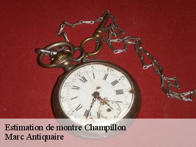 Estimation de montre  51160