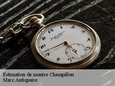 Estimation de montre  51160