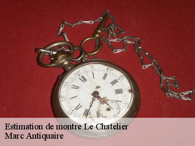 Estimation de montre  51330