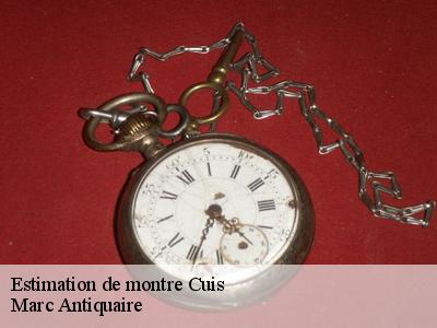 Estimation de montre  51200