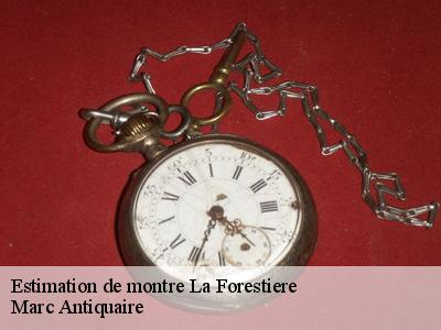 Estimation de montre  51120