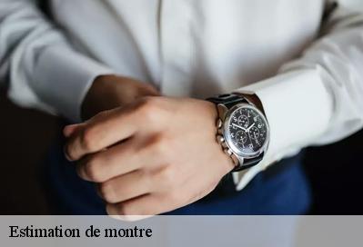 Estimation de montre  51130