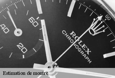 Estimation de montre  51130